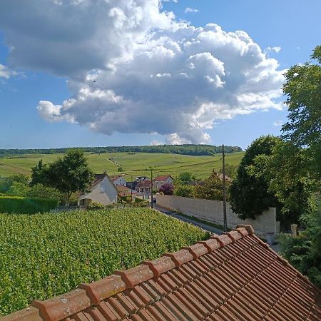 Gite Independant Diz'Enreves Au Coeur Des Vignes Dizy Exterior photo